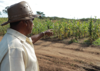 Projeto Fazenda Agroecológica Padre Cícero beneficia agricultores
