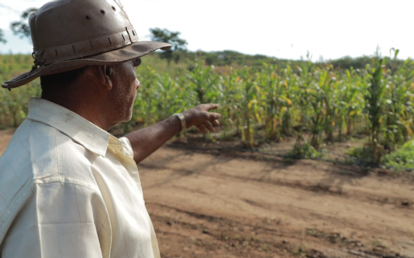 Projeto Fazenda Agroecológica Padre Cícero beneficia agricultores