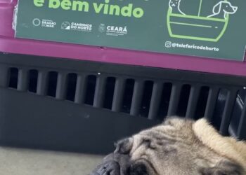Complexo Ambiental Caminhos do Horto permite e estimula animais de estimação na área