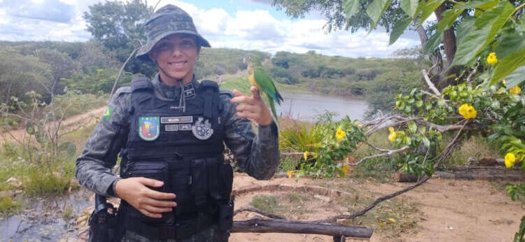 PMCE devolve 65 aves e três cobras à natureza