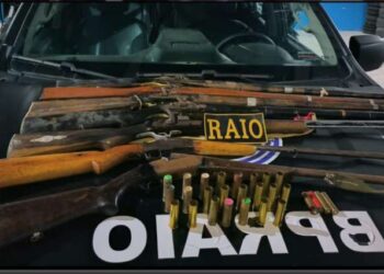 PMCE prende idoso por posse irregular de sete espingardas no município de Jardim