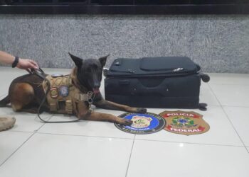 PF prende passageiro por tráfico internacional de drogas no Aeroporto de Fortaleza