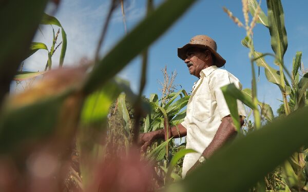 Festa do agricultor será realizada no próximo domingo (11)