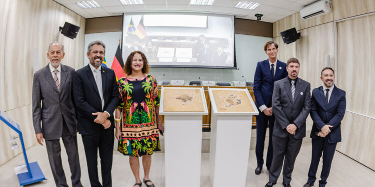Fóssil do dinossauro Ubirajara jubatus é repatriado ao Brasil e entregue ao Governo do Ceará