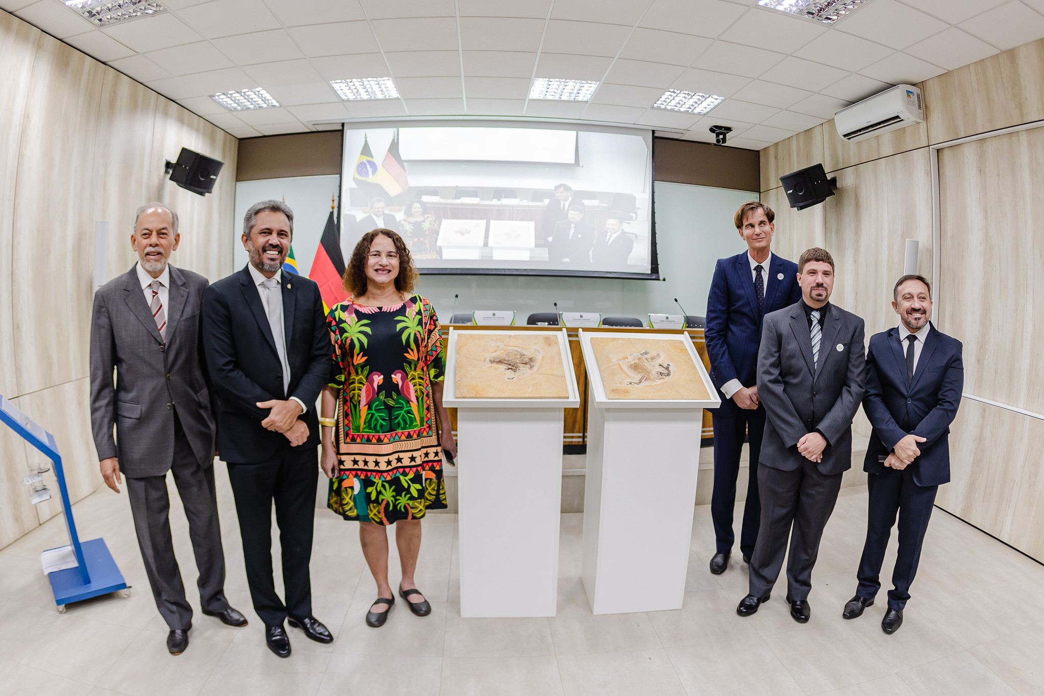 Fóssil do dinossauro Ubirajara jubatus é repatriado ao Brasil e entregue ao Governo do Ceará