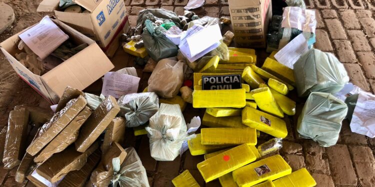 PC-CE incinera mais de 100 quilos de drogas em Iguatu e Icó