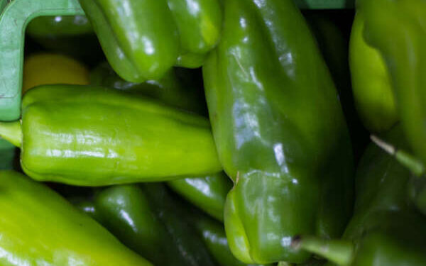 Preço do pimentão registra queda de 21,40% na Ceasa Cariri