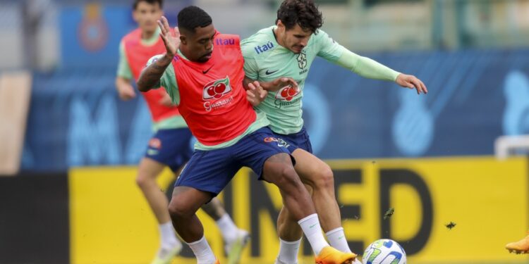 Seleção treina com o grupo quase completo
