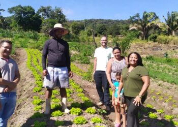 Economia Solidária e Agricultura Familiar em Movimento: Prefeitura realiza visita a produtora de hortaliças no Distrito do Caldas