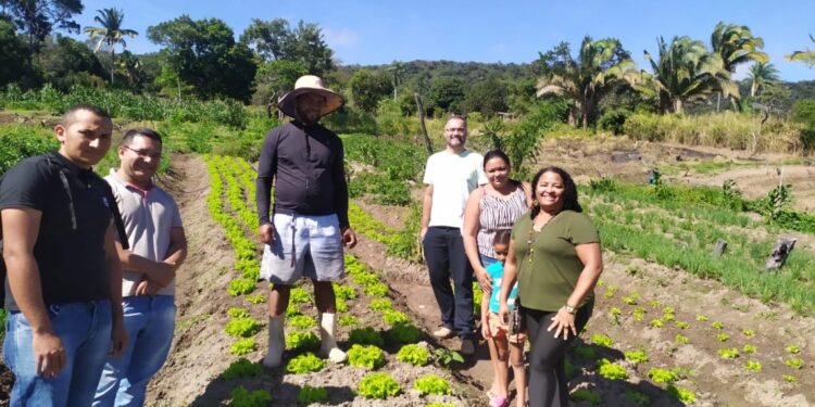 Economia Solidária e Agricultura Familiar em Movimento: Prefeitura realiza visita a produtora de hortaliças no Distrito do Caldas