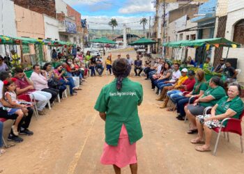 Feira Agroecológica da ACB, no Crato, comemora 20 anos de história