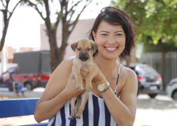 Juazeiro do Norte realiza cadastramento de protetores de animais
