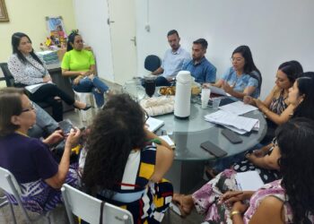 Juazeiro do Norte: Órgãos públicos articulam ações para o combate à violência contra a mulher