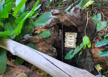 UNESCO realizou a primeira visita ao Geossítio Arajara