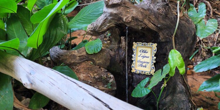 UNESCO realizou a primeira visita ao Geossítio Arajara