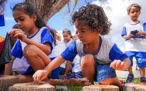 Crianças participam de oficina de produção de mudas, na VIII Semana do Bebê de Crato