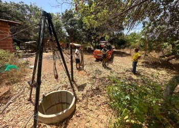 CBMCE resgata cadela que havia caído em poço no município de Barbalha