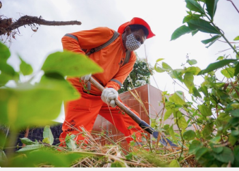 Crato intensifica ações nos cemitérios do município para o Dia de Finados