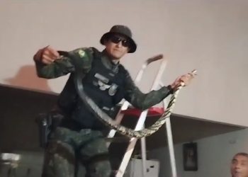 PMCE resgata cobra caninana que estava no telhado de uma residência no Crato