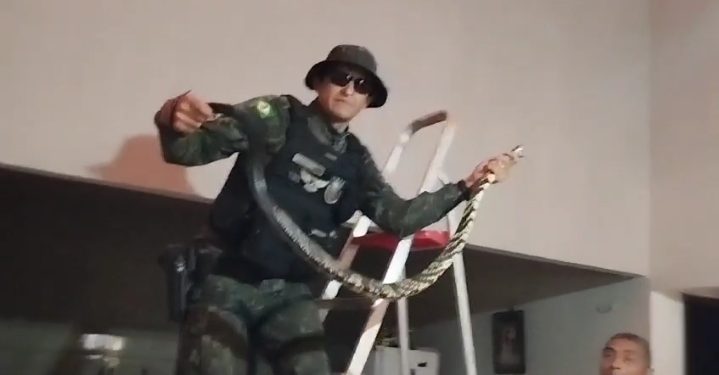 PMCE resgata cobra caninana que estava no telhado de uma residência no Crato