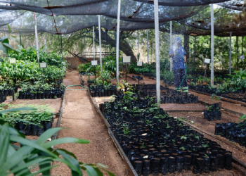 Parque Natural Municipal das Timbaúbas completa 6° ano da Unidade de Conservação