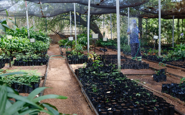 Parque Natural Municipal das Timbaúbas completa 6° ano da Unidade de Conservação