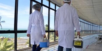 Pefoce auxilia no transplante de 1.010 córneas no Ceará em 2023