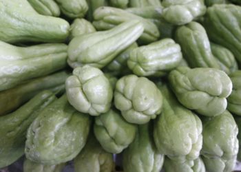 Preço do chuchu registra queda de 16,7% na Ceasa Cariri