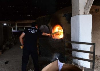 Polícia Civil fecha o ano de 2023 com três toneladas de drogas incineradas e mais de R$ 8 milhões em bens sequestrados