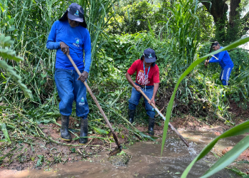 Crato realiza ações intersetoriais de combate ao mosquito Aedes aegypti