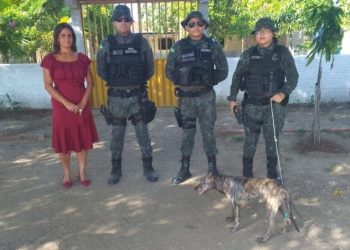 PMCE prende em flagrante suspeita de maus-tratos contra cachorro em Caririaçu