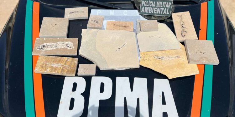 Polícia Militar recolhe 13 fósseis durante fiscalizações em pedreiras nos municípios de Nova Olinda e Santana do Cariri