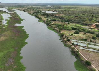 Governo do Estado lança maior projeto de reflorestamento da região do Jaguaribe