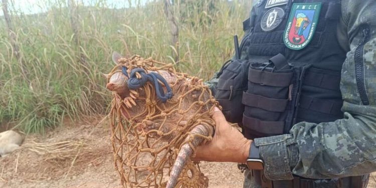 Homem é detido pela PMCE suspeito de caça ilegal em Farias Brito