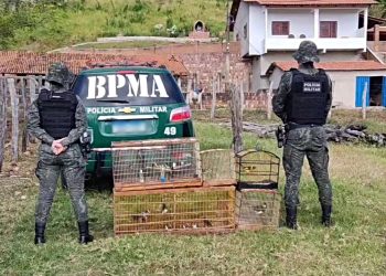 Polícia Militar realiza a soltura de 32 aves silvestres no Cariri