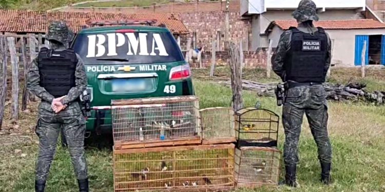 Polícia Militar realiza a soltura de 32 aves silvestres no Cariri