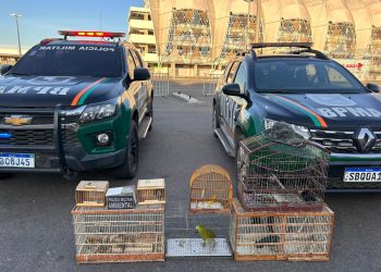Homem é detido e 22 pássaros silvestres são resgatados pela PMCE em Juazeiro do Norte