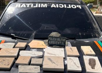 PMCE recolhe 15 fósseis durante fiscalizações em pedreiras no Cariri
