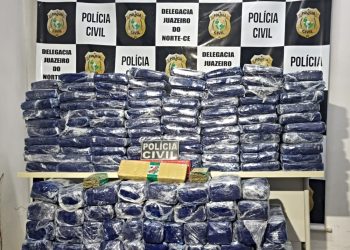 Polícia Civil apreende 379 tabletes de maconha que tinha como destino à Região do Cariri