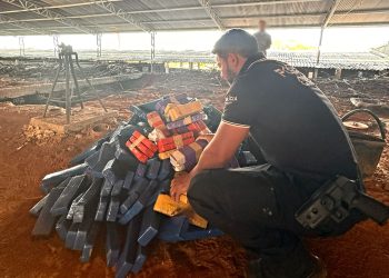 Polícia Civil incinera mais de 200 kg de entorpecentes em Milagres