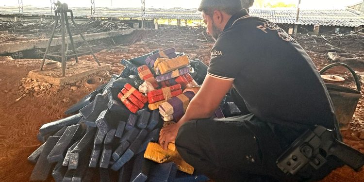 Polícia Civil incinera mais de 200 kg de entorpecentes em Milagres