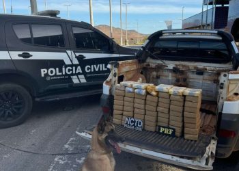 Operação conjunta entre PCCE e PRF resulta em captura e apreensão de mais de 64 kg de drogas em Icó