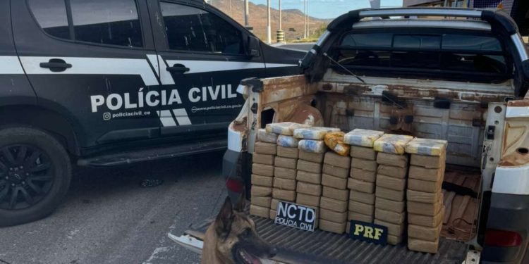 Operação conjunta entre PCCE e PRF resulta em captura e apreensão de mais de 64 kg de drogas em Icó