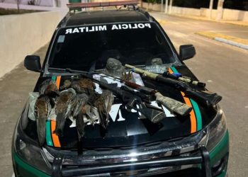 PMCE captura trio e apreende armas e aves ameaçadas de extinção em Santana do Cariri