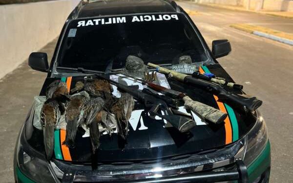 PMCE captura trio e apreende armas e aves ameaçadas de extinção em Santana do Cariri