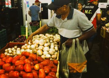 Preço da cebola roxa tem queda de 29,4% na Ceasa Cariri
