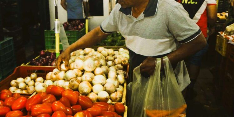 Preço da cebola roxa tem queda de 29,4% na Ceasa Cariri