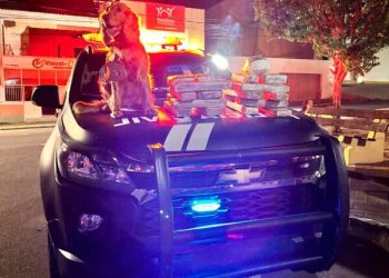 Polícia Civil apreende cerca de 20 kg de skank e captura suspeito por tráfico de drogas em Pernambuco