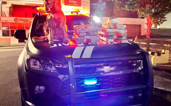 Polícia Civil apreende cerca de 20 kg de skank e captura suspeito por tráfico de drogas em Pernambuco