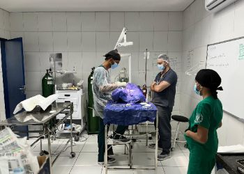 UPA Animal realiza mais de 37 mil procedimentos até setembro, em Crato